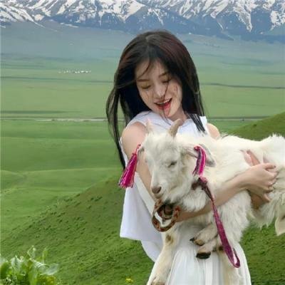绿茵春色