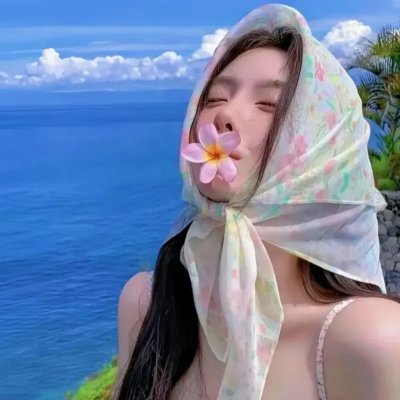 大清盐商