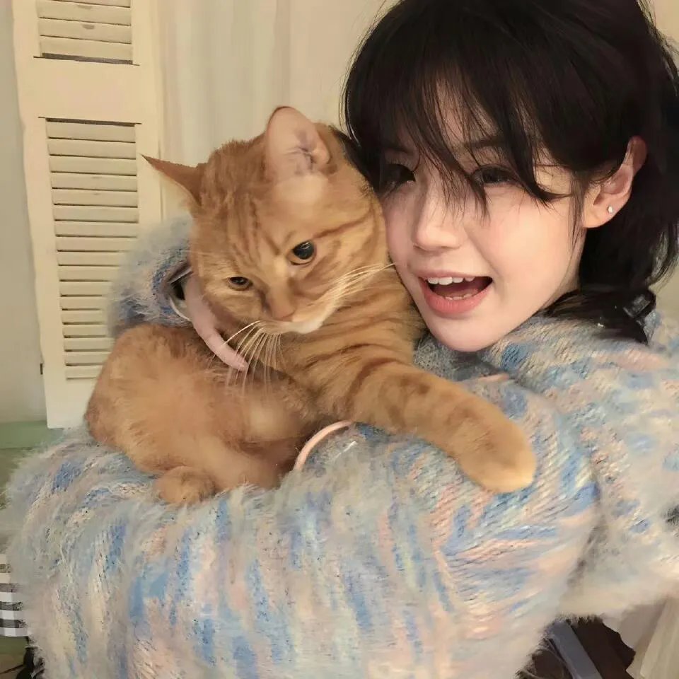 好莱坞骑士